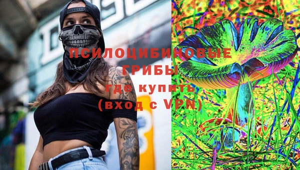 молекула духа Надым