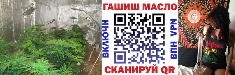 ТГК THC oil  Купить  Северо-Курильск 