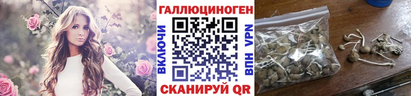 Галлюциногенные грибы мухоморы  Купить закладки  Северо-Курильск 