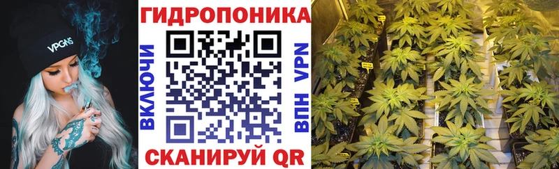 Шишки марихуана THC 21% Купить закладки Северо-Курильск